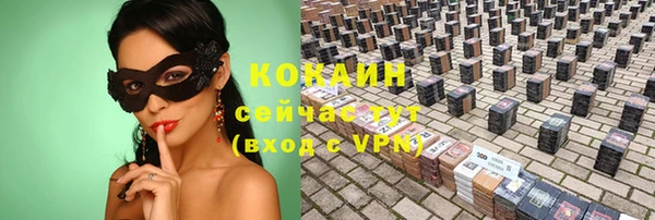 ALPHA PVP Осинники
