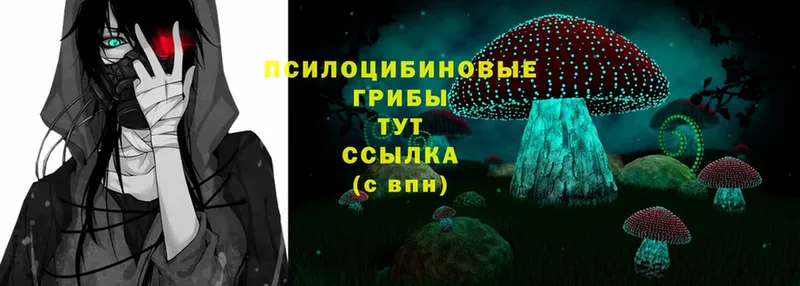 Галлюциногенные грибы Psilocybe  гидра ТОР  Баймак 