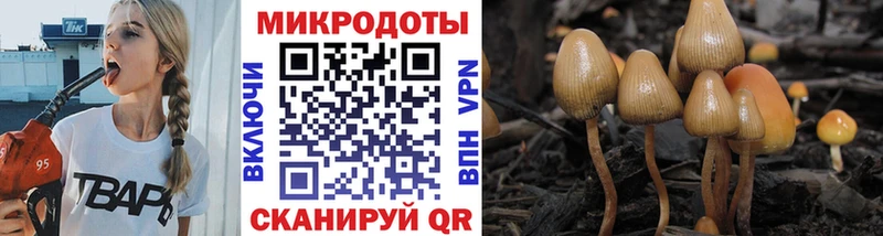 блэк спрут ссылка  Баймак  Галлюциногенные грибы прущие грибы 